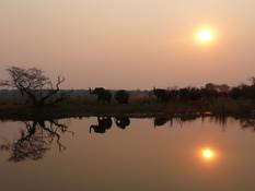 Der friedliche Okavango Fluß